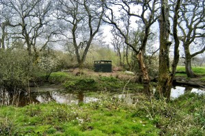 Feeding Station Hide