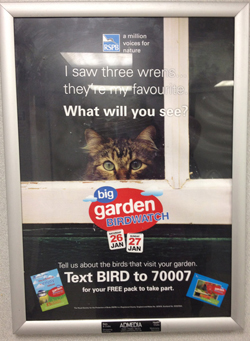 The ad for the big garden birdwatch with a cat looking longingly out from a window