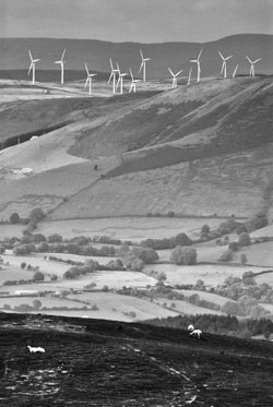 A picture of windfarms dominating and disfiguring the landscape